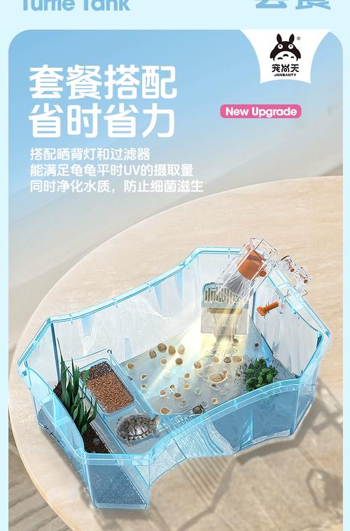 巴西龟龟缸布置全攻略(巴西龟龟缸布置图) 巴西龟龟缸布置全攻略(巴西龟龟缸布置图)