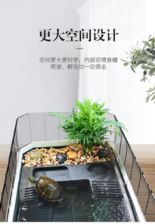 巴西龟龟缸布置全攻略(巴西龟龟缸布置图) 巴西龟龟缸布置全攻略(巴西龟龟缸布置图)