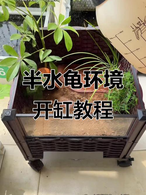 自制塑料瓶乌龟缸,经济环保又有趣!(废物利用自制乌龟缸) 自制塑料瓶乌龟缸,经济环保又有趣!(废物利用自制乌龟缸)