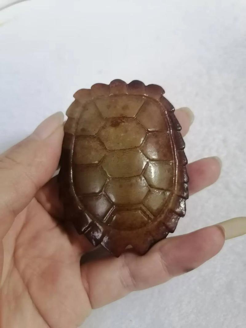 盘出温润,传承吉祥(龟壳盘玩玉化图片) 盘出温润,传承吉祥(龟壳盘玩玉化图片)