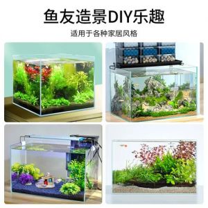 选耐寒小鱼，共筑生态美家（生态龟缸适合养什么鱼）