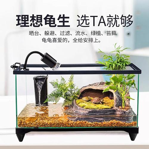 10厘米草龟缸需60cm带晒台,深浅水区,加过滤加热棒(10cm的乌龟用多大的缸) 10厘米草龟缸需60cm带晒台,深浅水区,加过滤加热棒(10cm的乌龟用多大的缸)