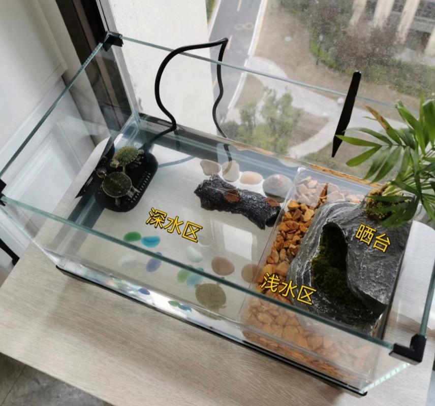 简洁实用,爬行晒背好环境(乌龟缸怎么布置简单) 简洁实用,爬行晒背好环境(乌龟缸怎么布置简单)