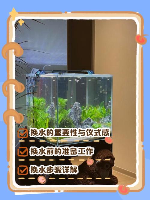 乌龟换水多久?幼龟勤换,夏季高温多换,冬季可缓(乌龟缸多久换一次水) 乌龟换水多久?幼龟勤换,夏季高温多换,冬季可缓(乌龟缸多久换一次水)