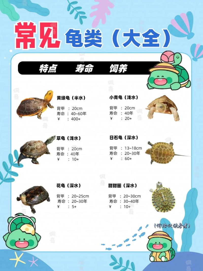 食用龟品种及安全指南(能吃的乌龟有什么品种) 食用龟品种及安全指南(能吃的乌龟有什么品种)