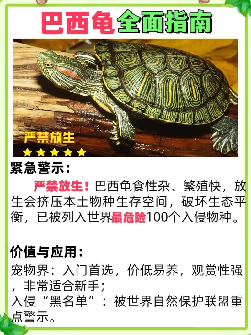 温度环境是关键(冬天小乌龟怎么养才能活) 温度环境是关键(冬天小乌龟怎么养才能活)
