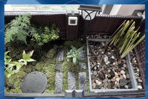 水龟需深水过滤，陆龟要宽敞干燥（乌龟的居住环境布置）