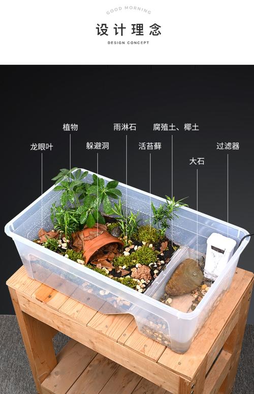 过滤植物与安全维护(草龟缸造景布置大全图) 过滤植物与安全维护(草龟缸造景布置大全图)