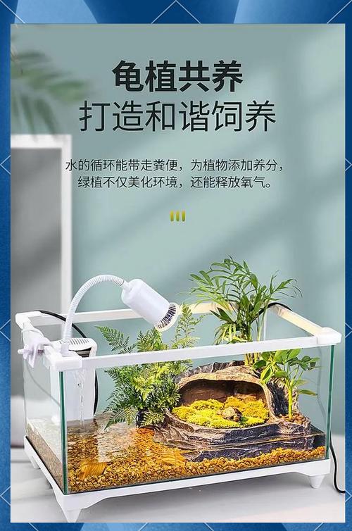 养龟缸选对尺寸,玻璃塑料周转箱各有优劣(养龟缸选择) 养龟缸选对尺寸,玻璃塑料周转箱各有优劣(养龟缸选择)