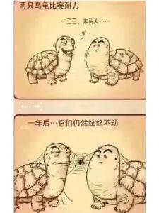 乌龟慢但机智的搞笑笑话，让你笑出声！（关于乌龟的笑话）