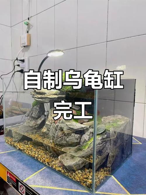 龟缸放阳台,阳光通风好,玻璃缸透气,水陆两分,乌龟舒心(养乌龟的缸怎么布置图片大全) 龟缸放阳台,阳光通风好,玻璃缸透气,水陆两分,乌龟舒心(养乌龟的缸怎么布置图片大全)