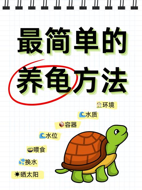 金钱龟跳缸原因及解决方法(金钱龟跳缸是怎么回事) 金钱龟跳缸原因及解决方法(金钱龟跳缸是怎么回事)