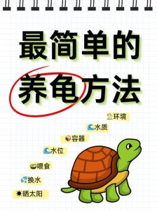 金钱龟跳缸原因及解决方法（金钱龟跳缸是怎么回事）