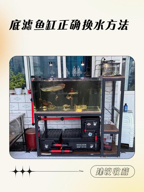 科学养龟换水法,保健康少烦恼(乌龟缸里面放了沙怎么换水呢) 科学养龟换水法,保健康少烦恼(乌龟缸里面放了沙怎么换水呢)