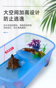 草龟缸42cm高够吗？看龟大小和需求（草龟缸高度可以是42厘米吗）