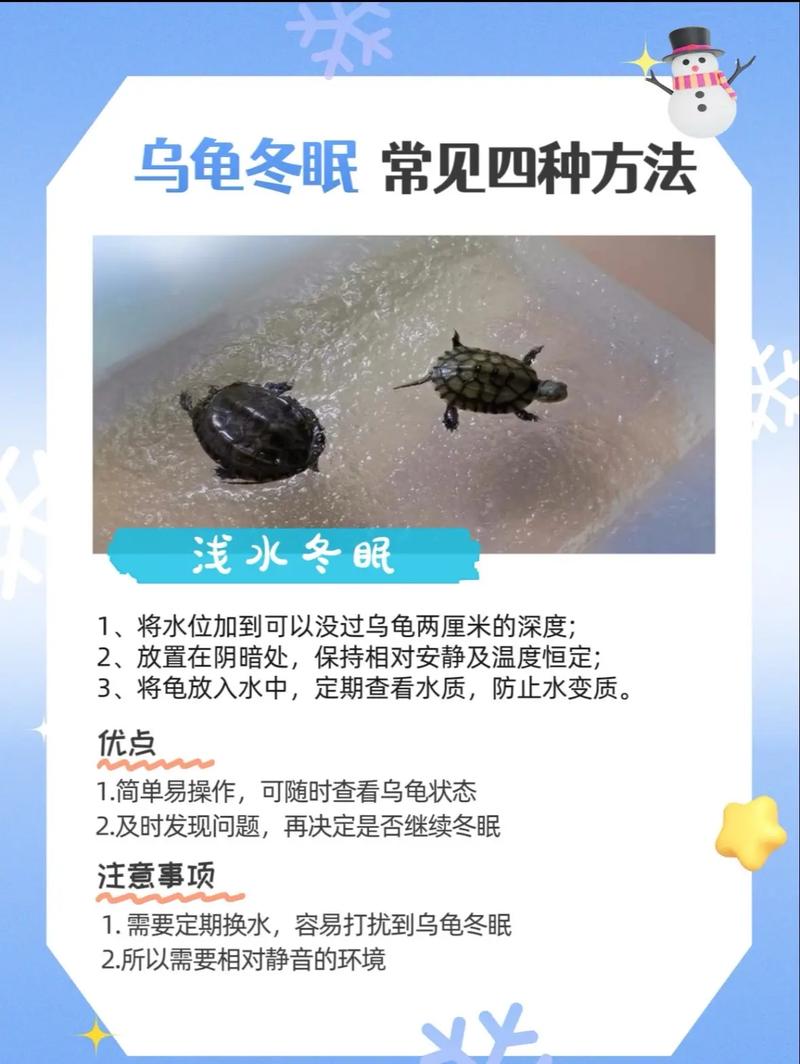养乌龟注意环境食物健康(小乌龟怎么养才能养好) 养乌龟注意环境食物健康(小乌龟怎么养才能养好)