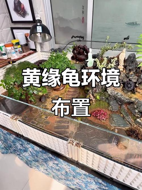 攀爬晒背隐匿全兼顾(地图龟缸造景布置大全) 攀爬晒背隐匿全兼顾(地图龟缸造景布置大全)