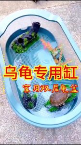 空间温度光照一个都不能少（如何布置巴西龟饲养箱）