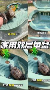 乌龟缸尺寸与水陆配比（乌龟需要多大的缸）