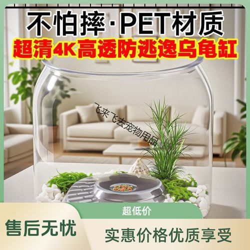 乌龟缸水陆布置与养护要点(圆形乌龟缸布置) 乌龟缸水陆布置与养护要点(圆形乌龟缸布置)