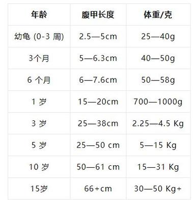 巴西龟年龄看背甲环纹,体重头身比辅助判断(巴西龟尺寸年龄对照表) 巴西龟年龄看背甲环纹,体重头身比辅助判断(巴西龟尺寸年龄对照表)