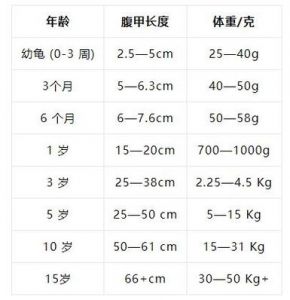 巴西龟年龄看背甲环纹，体重头身比辅助判断（巴西龟尺寸年龄对照表）