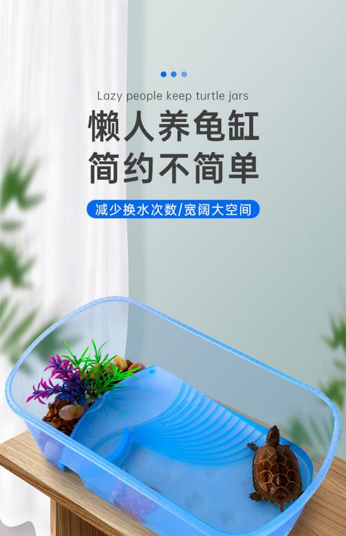 养草龟选对缸,空间光照要够,喂食勤观察(一只草龟用多大的缸) 养草龟选对缸,空间光照要够,喂食勤观察(一只草龟用多大的缸)