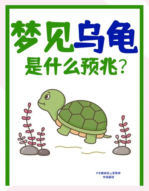 乌龟公母同行梦,和谐平衡生活启示(做梦梦到两只乌龟一只公的一只母的) 乌龟公母同行梦,和谐平衡生活启示(做梦梦到两只乌龟一只公的一只母的)