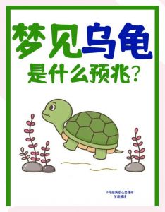乌龟公母同行梦，和谐平衡生活启示（做梦梦到两只乌龟一只公的一只母的）