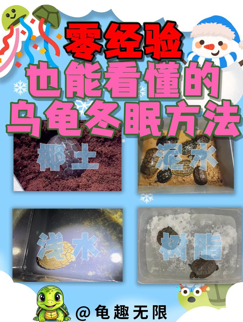 小乌龟冬天怎么养?看温度干湿养(小乌龟冬天干养还是水养好) 小乌龟冬天怎么养?看温度干湿养(小乌龟冬天干养还是水养好)