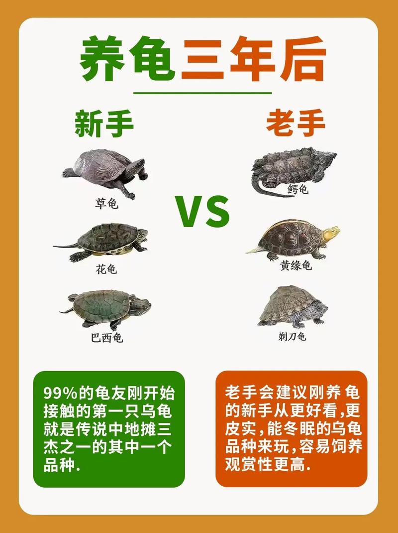 巴西龟互动强易生病,草龟安静寿命长但饲养难,选龟要考虑喜好预算(巴西龟和草龟哪个好养活) 巴西龟互动强易生病,草龟安静寿命长但饲养难,选龟要考虑喜好预算(巴西龟和草龟哪个好养活)