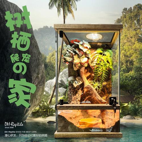 小缸养小鱼,简单治愈(玻璃缸适合养什么宠物) 小缸养小鱼,简单治愈(玻璃缸适合养什么宠物)