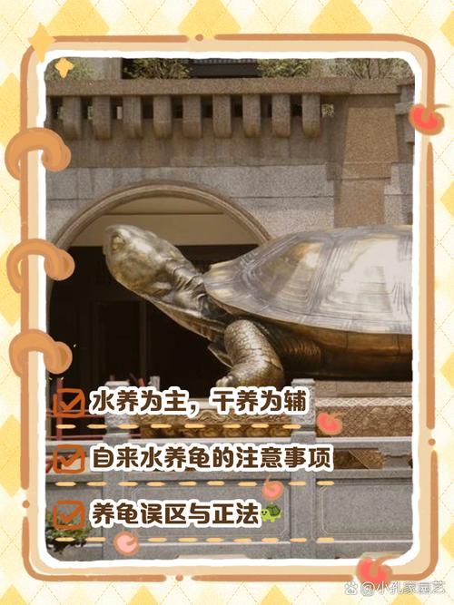 乌龟冬季养护方法(小乌龟冬天干养还是在水里养) 乌龟冬季养护方法(小乌龟冬天干养还是在水里养)