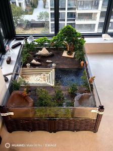养草龟，水陆需兼备，清洁是关键（草龟缸怎么布置水陆）
