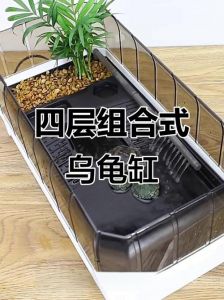 自然溪流营造技巧（乌龟缸流水怎么设置）