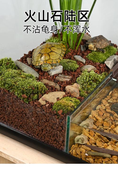 美观实用,打造健康快乐的家(乌龟缸怎么布置图片) 美观实用,打造健康快乐的家(乌龟缸怎么布置图片)