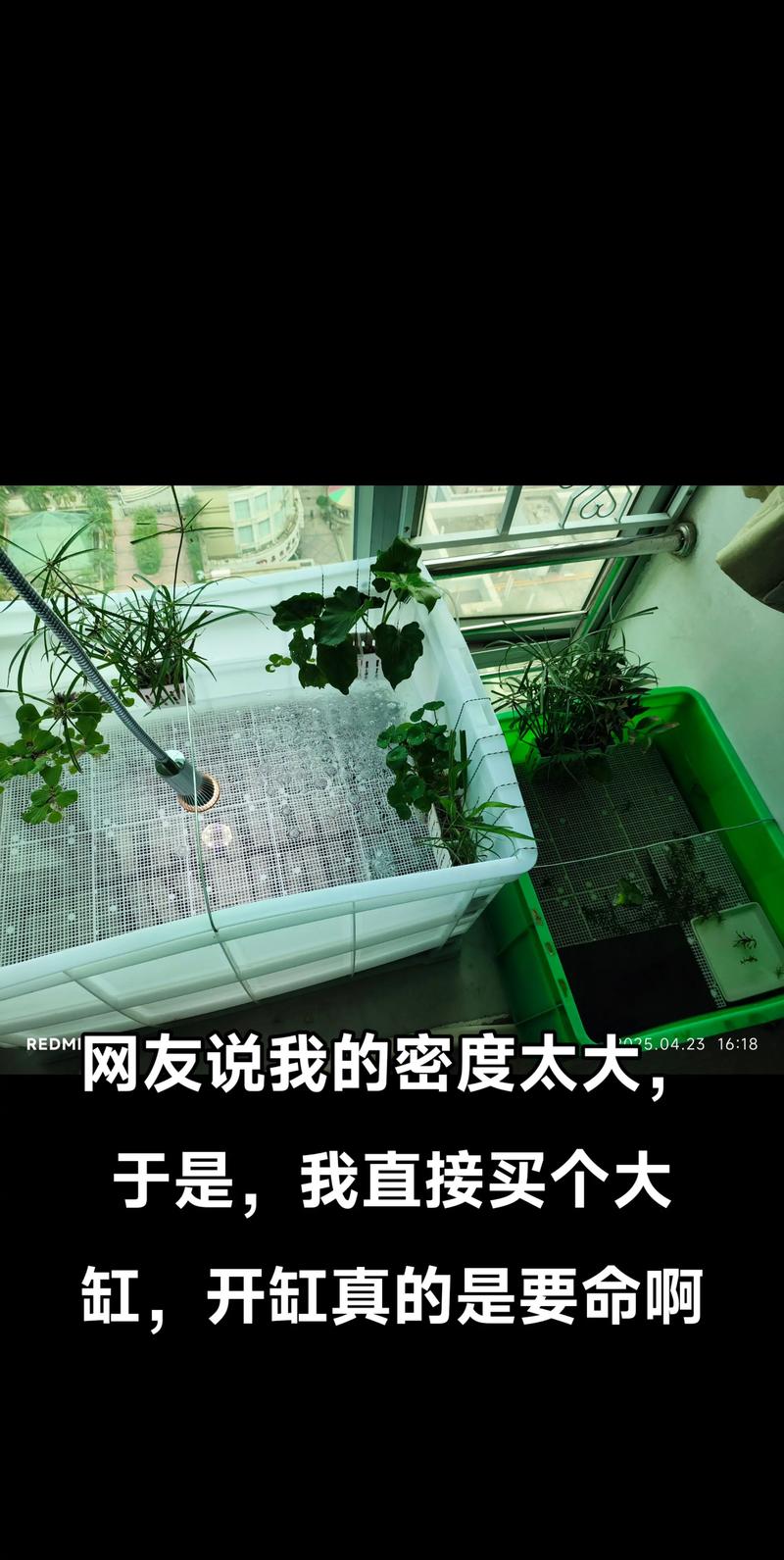 火山石做龟缸底砂好,护爪透气易打理(乌龟缸用火山石如何处理) 火山石做龟缸底砂好,护爪透气易打理(乌龟缸用火山石如何处理)