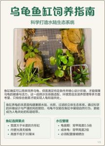 养龟鱼缸需满足生存需求，混养有风险，注意空间和喂食管理（乌龟能放在鱼缸里养吗）