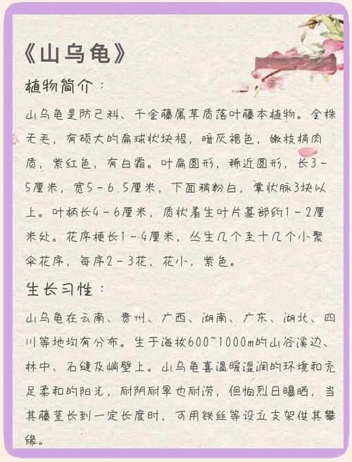 控温补水,分品种管理(山乌龟冬天怎么养) 控温补水,分品种管理(山乌龟冬天怎么养)