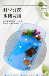 设计龟缸，让金钱龟更活泼！（家养乌龟缸图片）