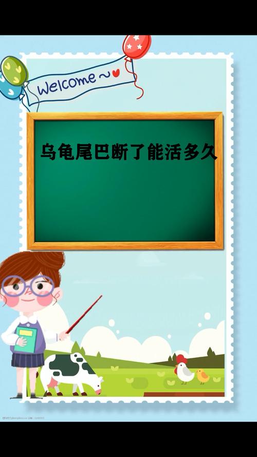 公龟尾断能繁殖吗?看伤势轻重!(公龟尾巴断了能繁殖吗) 公龟尾断能繁殖吗?看伤势轻重!(公龟尾巴断了能繁殖吗)