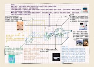 巧用造景分水陆，安全舒适好环境（做一张乌龟缸的正确布置图纸）