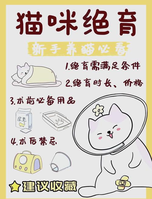 绝育猫好处多,健康亲人烦恼少(宠物猫咪绝育的好处和坏处) 绝育猫好处多,健康亲人烦恼少(宠物猫咪绝育的好处和坏处)