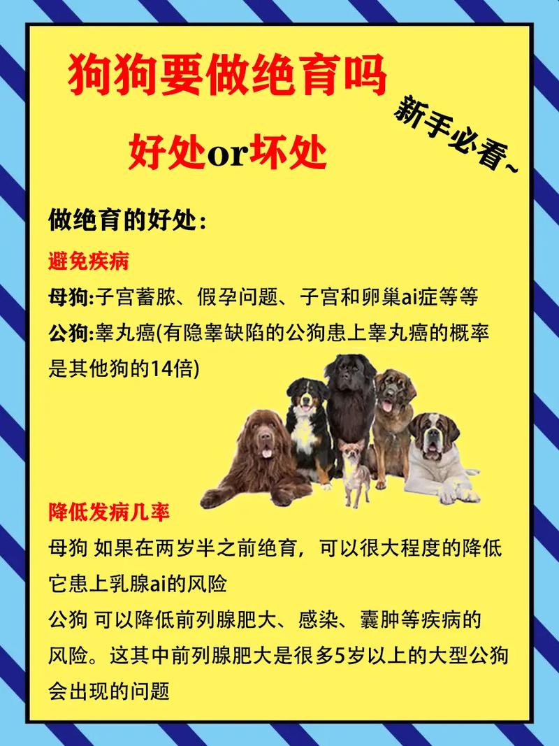 绝育犬好处多弊端不能忘,主人需权衡利弊(给狗做绝育有什么好处和坏处) 绝育犬好处多弊端不能忘,主人需权衡利弊(给狗做绝育有什么好处和坏处)