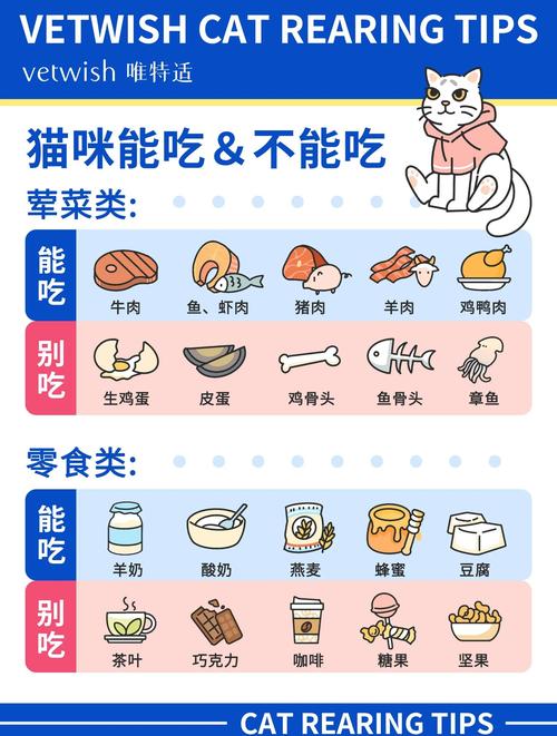 猫咪十大禁忌食物,赶紧了解下!(猫咪十大禁忌食物) 猫咪十大禁忌食物,赶紧了解下!(猫咪十大禁忌食物)