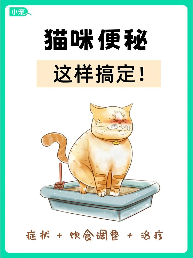 猫咪便秘怎么办?饮食运动来调理(猫咪总是便秘湿粮也吃了) 猫咪便秘怎么办?饮食运动来调理(猫咪总是便秘湿粮也吃了)