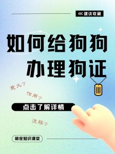 办狗证，上户口，保安全！（狗狗如何进入自己家庭户口）