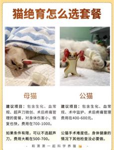 母猫绝育费多少？看麻醉检查地，公猫便宜些（母猫可以做绝育手术多少钱）