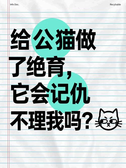 绝育公猫变粘人?短期记忆弱不记恨主(公猫做了绝育会恨主人吗) 绝育公猫变粘人?短期记忆弱不记恨主(公猫做了绝育会恨主人吗)