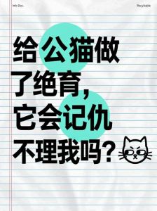 绝育公猫变粘人？短期记忆弱不记恨主（公猫做了绝育会恨主人吗）